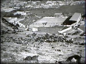 Oran- SDV- 0254